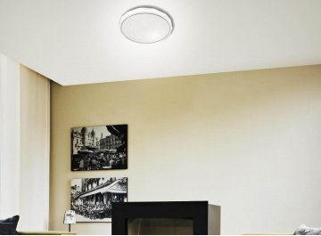 Настенно-потолочный светильник Gino 2045/DL