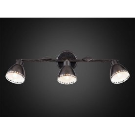 Настенно-потолочный светильник Робуста CL509532