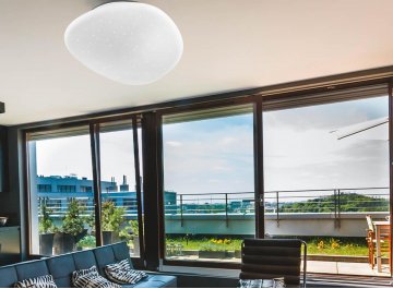 Настенно-потолочный светильник Stone 2039/DL