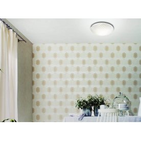 Настенно-потолочный светильник Strapa 2065/DL