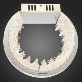 Настенный светильник Cherio SL383.101.01