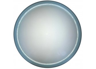 Настенный светильник TL1128-1Y