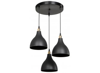 Подвесной светильник TL1615H-03BK