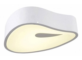 Потолочный светильник OML-455 OML-45507-53