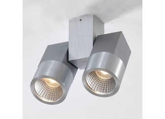 Потолочный светильник Дубль CL556101