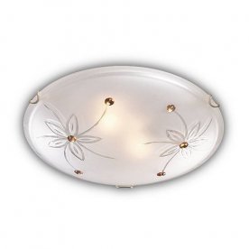 Потолочный светильник Sonex Floret 149/K