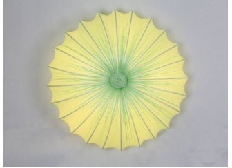 Потолочный светильник ST Luce SL351.022.05