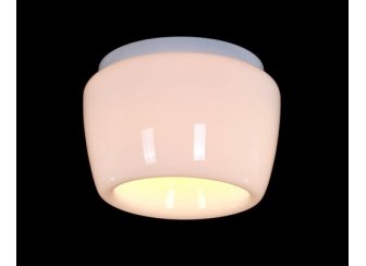 Потолочный светильник ST Luce SL876.502.01