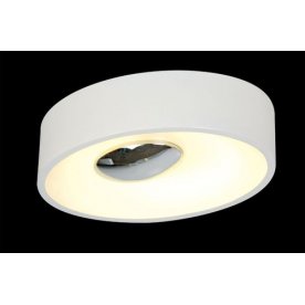 Потолочный светильник SL889.502.02