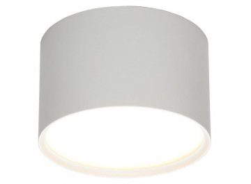 Потолочный светильник OML-103309-06