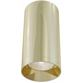 Потолочный светильник C010CL-01G