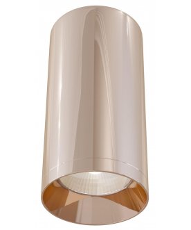 Потолочный светильник C010CL-01RG