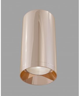 Потолочный светильник C010CL-01RG