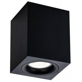 Потолочный светильник C013CL-01B