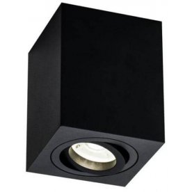 Потолочный светильник C017CL-01B