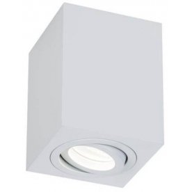 Потолочный светильник C017CL-01W