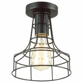 Потолочный светильник Alfred 3639/1C