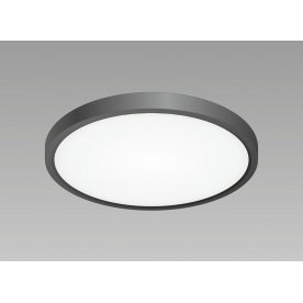 Потолочный светильник Бейсик CL738241V