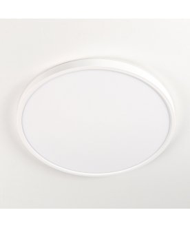 Потолочный светильник Бейсик CL738320V