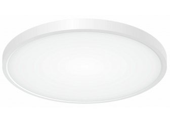 Потолочный светильник Бейсик CL738320V