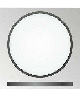 Потолочный светильник Бейсик CL738321V