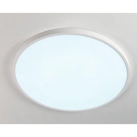 Потолочный светильник Бейсик CL738400V