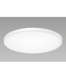 Потолочный светильник Бейсик CL738500V