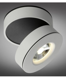 Светильник Borgetto OML-101909-12