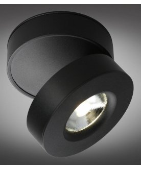 Потолочный светильник OML-101919-12