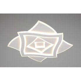 Потолочный светильник OML-08907-219