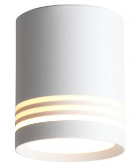 Потолочный светильник ST101.542.05