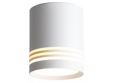 Диодный светильник потолочный Cerione ST101.542.05