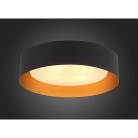 Потолочный светильник Chio SL392.422.04