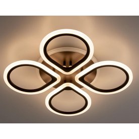 Потолочный светильник CL235A145E