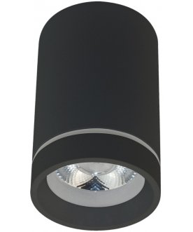 Потолочный светильник APL.0054.19.10