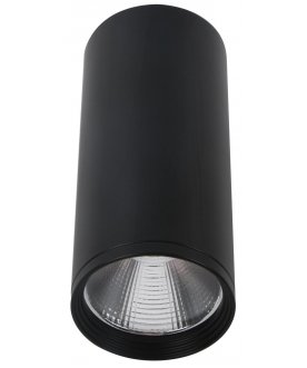 Потолочный светильник 08570-12,19