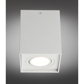 Потолочный светильник Feletto OML-101109-01