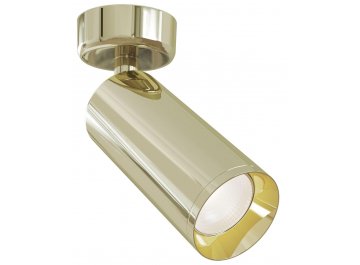 Потолочный светильник Focus C017CW-01G