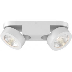 Потолочный светильник Laconis 3538/2LC