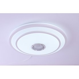 Потолочный светильник LBS-2005