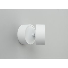 Потолочный светильник Lenno OML-101309-12