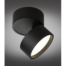 Потолочный светильник Lenno OML-101319-12