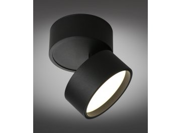 Потолочный светильник Lenno OML-101319-12