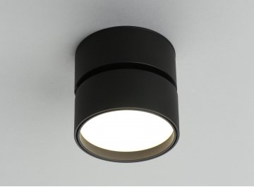 Потолочный светильник Lenno OML-101319-12