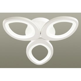 Потолочный светильник 4573/60CL