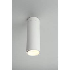 Потолочный светильник Montella OML-101409-12