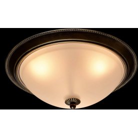 Потолочный светильник Ариадна 6 450015503