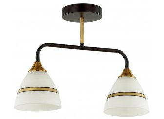 Потолочный светильник 5214/2CA