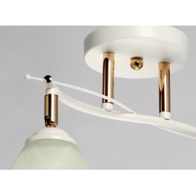 Потолочный светильник Нежность 676013502