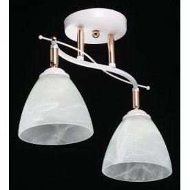 Потолочный светильник Нежность 676013502